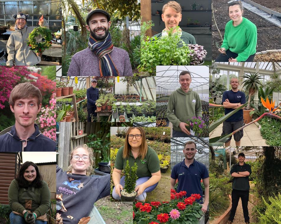 Colegrave Seabrook scholarship winners